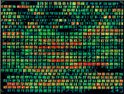 DNA_mapping