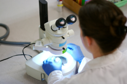 microscope