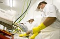 Airborne illnesses - food processing plants are often responsible for contaminated food.