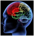 Stroke care in the U.S. needs to be improved according to a new study.