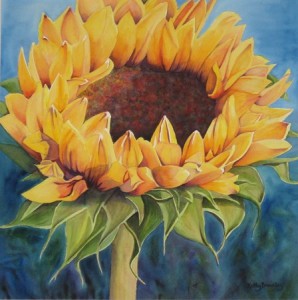 sunflower
