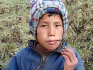 Himalayan Viagra - Boy With Yarsagumba