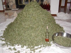 Marijuana Cookies - Two children in California ate their Mom's pot cookie.