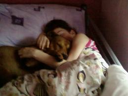 Dog sleeps in bed with girl - Dogs and cats should sleep on their own beds, researchers say.