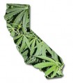 Medical marijuana has been legal in California since 1996, but employees can be fired for testing positive.