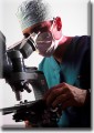 Researcher - English scientists have identified how the WWP2 gene, which causes cancer, spreads.
