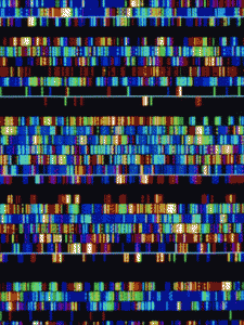 Genome - The WWP2 gene that propagates metastasis of cancer has been identified. Scientists hope to conquer it with a new drug.