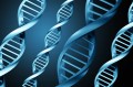 Baylor doctors say medical facilities need to update their ethics policies to address cases of incest discovered through DNA testing.