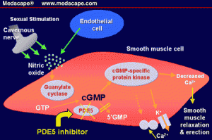 PDE5