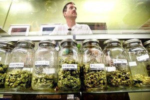 weGrow does not sell marijauana itself, but it too is readily available at any California dispensary.