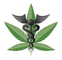 Medical Marijuana race against Viagra