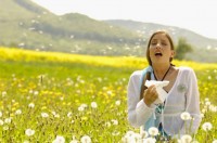 allergens, allergies, allergy, pollen, sneezing, cure for allergies, wheezing, asthma, flower pollen, grass pollen, seasonal allergies, breathing, Allegra, Clarinex