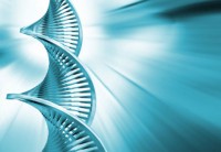 Birth defects, smoking, nicotine, DNA, pregnancy