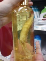 ginseng, viagra, cialis, aphrodesiac, levitra, staxyn