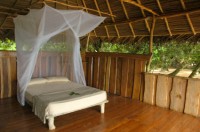 malaria, mosquitoes, illness, disease, insect bites