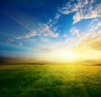 Vitamin D, Health, Nutrition, Kidneys, Sunlight, Supplements