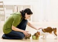 Pets, Stress, Relaxation, Dogs, Cats