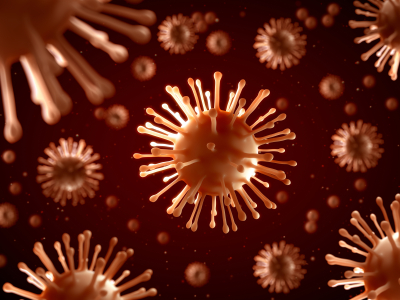 The flu virus is perhaps more infectious than we thought -- and our pets are at risk too.
