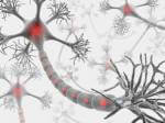 Stem cell research remains controversial.