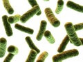 New vaccine is created to treat a contagious disease that affects livestock.
