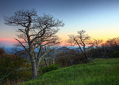 What could be more romantic than apple picking in a beautiful orchard? Head there on a Spring day near sunset, and you might as well write your own romance novel.
