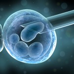 Sperm donor is forced to pay child support after helping a lesbian couple conceive. 