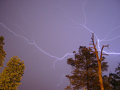 Of all the lightning-related deaths since 1995, over 95% of them were men. Men, it seems, are less likely to heed the good advice of the NOAA.