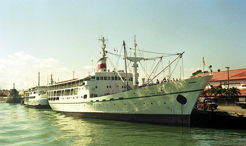 How will we learn to avoid whales? Or how will they learn to avoid us? Perhaps some kind of equipment can be designed that deters whales from approaching large vessels.
