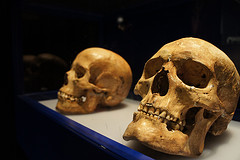 The skulls discovered in Templo Mayor break the pattern of other Aztec sacrifice. What are their true significance?