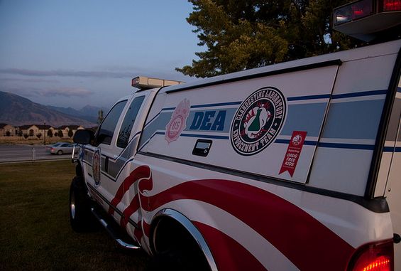 Numerous agencies, including the DEA, US Customs, and the FDA fight against counterfeit drugs.