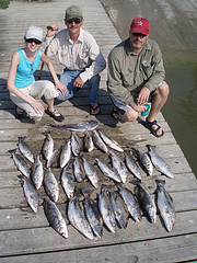 Despite the benefits of fish and omega-3's, mothers should be wary of eating contaminated fish during pregnancy. Self-caught fish are even more likely to be have dangerous levels of mercury.