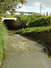 With our rivers and streams constantly  muddied by pollution, it's hard to believe we haven't already looked at environmental contaminants as a cause of childhood development disorders. But now, studies are beginning to make clear the consequences of environmental toxins.