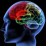 Brain waves were measured to understand how children learn.