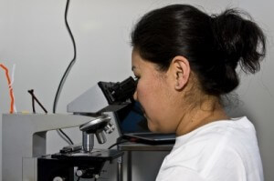 BPH is due to increased number of prostate cells, not enlargement of existing cells.