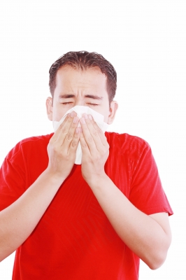 Allergies are more than a nuisance; they can cause lower productivity and higher absenteeism.
