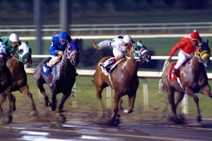 horse race