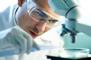 Scientists at the Wake Forest Institute of Regenerative Medicine are working on a project to engineer penises in the laboratory that can be transplanted into patients with severe groin injuries or congenital birth defects that left them without a working penis.