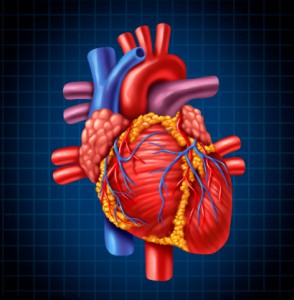 Although sildenafil failed to produce much relief of angina symptoms, subsequent research shows it can be helpful in treating other forms of cardiovascular disease.
