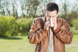 Seasonal allergies, also known as allergic rhinitis, have many symptoms similar to colds but aren't caused by a virus but rather by sensitivities to pollen and spores from fungi and mold. 