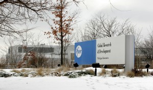 Pfizer, one of the world's largest drugmakers, lost its Chinese patent on Viagra in May 2014. 