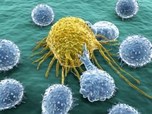 Tadalafil helped the immune system to more effectively target squamous cancer cells in the mouth and throat.