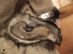 Among the foods recommended in the ED-Protocol are oysters, which are rich in zinc. If you’re a vegetarian, you can get zinc from shitake mushrooms and pumpkin or sesame seeds.