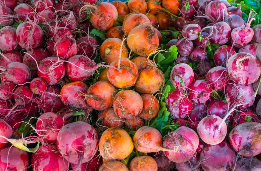 Different types of Beets