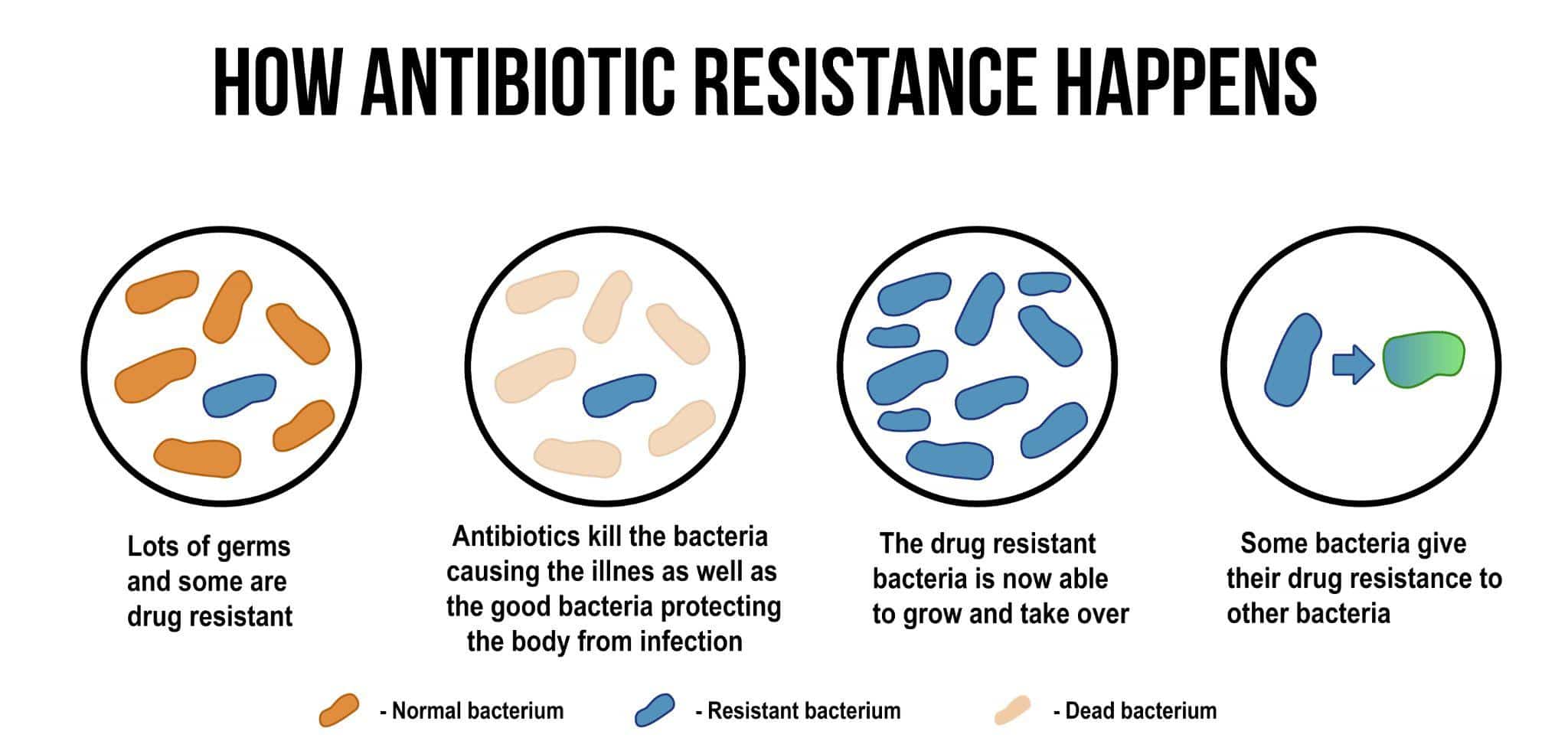 how antibiotic resistance happens