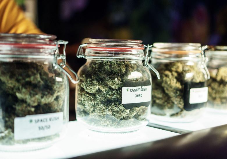 dried marijuana in jars
