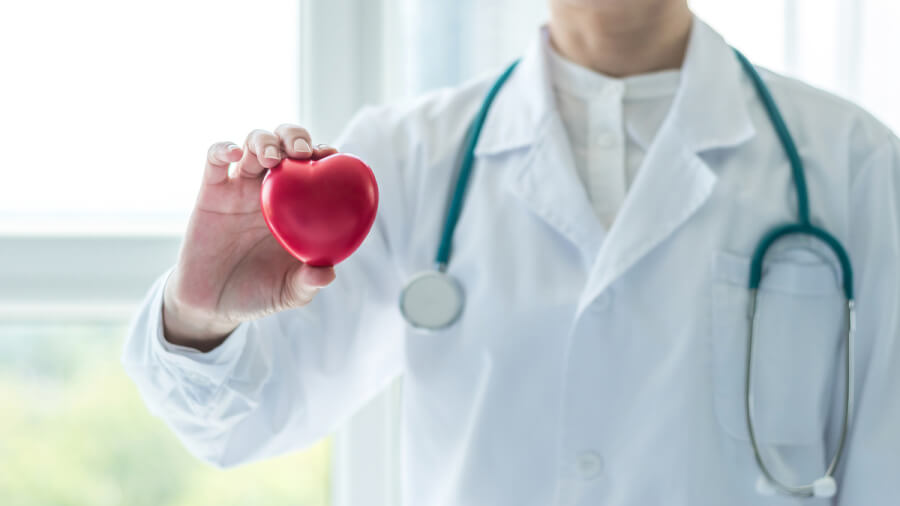 Medical doctor wearing a lab coat holding a red heart.