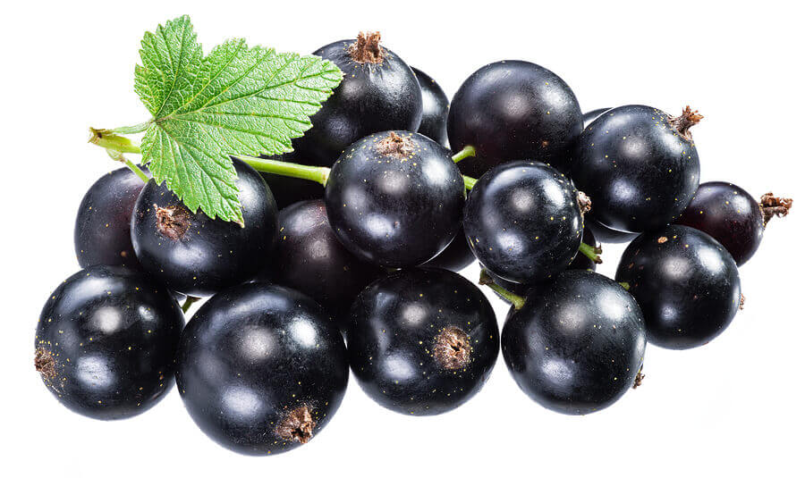 Blackcurrents