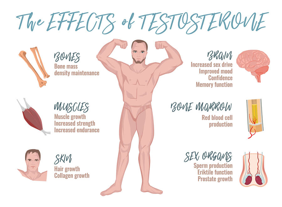 Effects of testosterone