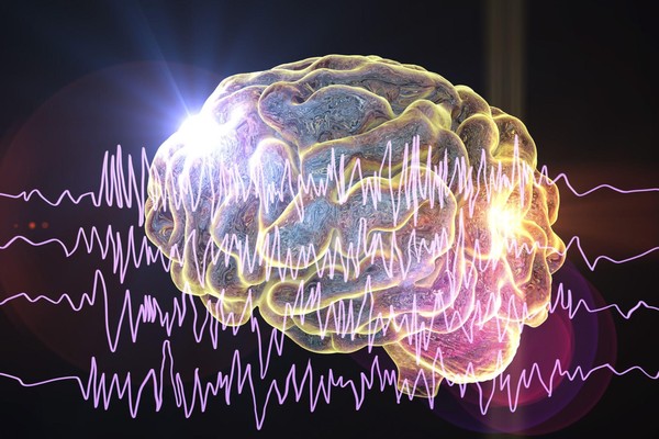 Brain illustration Brain illustration