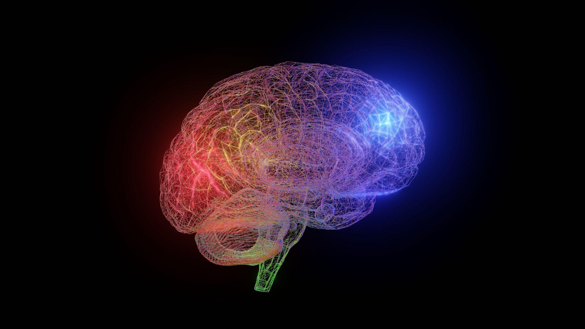 neural network